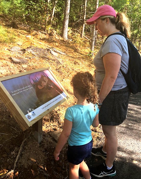 Summer Reading Adventures: Avoid the Summer Slide With These Fun Reading Ideas