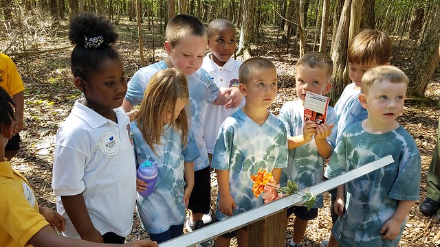 44066249174_932b2f1563_z.jpg 44066249174_932b2f1563_z.jpg