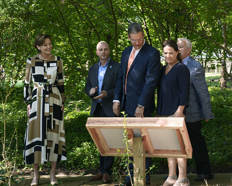 48788579332_cfaaa8409e_c.jpg 48788579332_cfaaa8409e_c.jpg