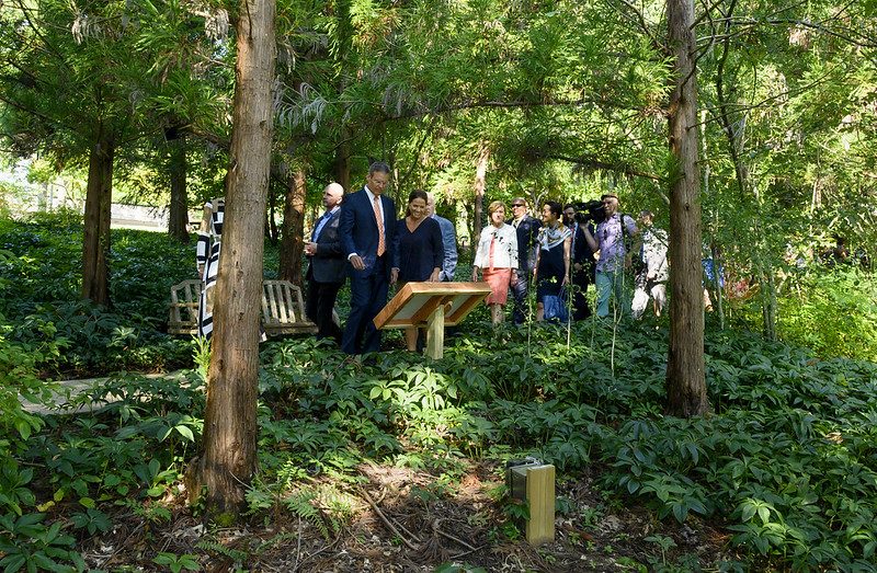 48788579887_d59a6ec2fa_c.jpg 48788579887_d59a6ec2fa_c.jpg